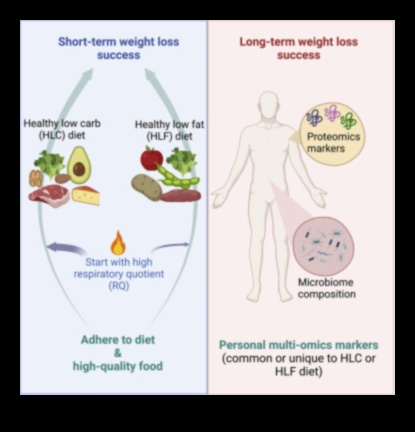 تأثير صحة الأمعاء على نجاح النظام الغذائي قليل الدهون