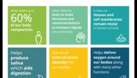 الترطيب ودوره في النظام الغذائي المتوازن