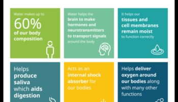 الترطيب ودوره في النظام الغذائي المتوازن