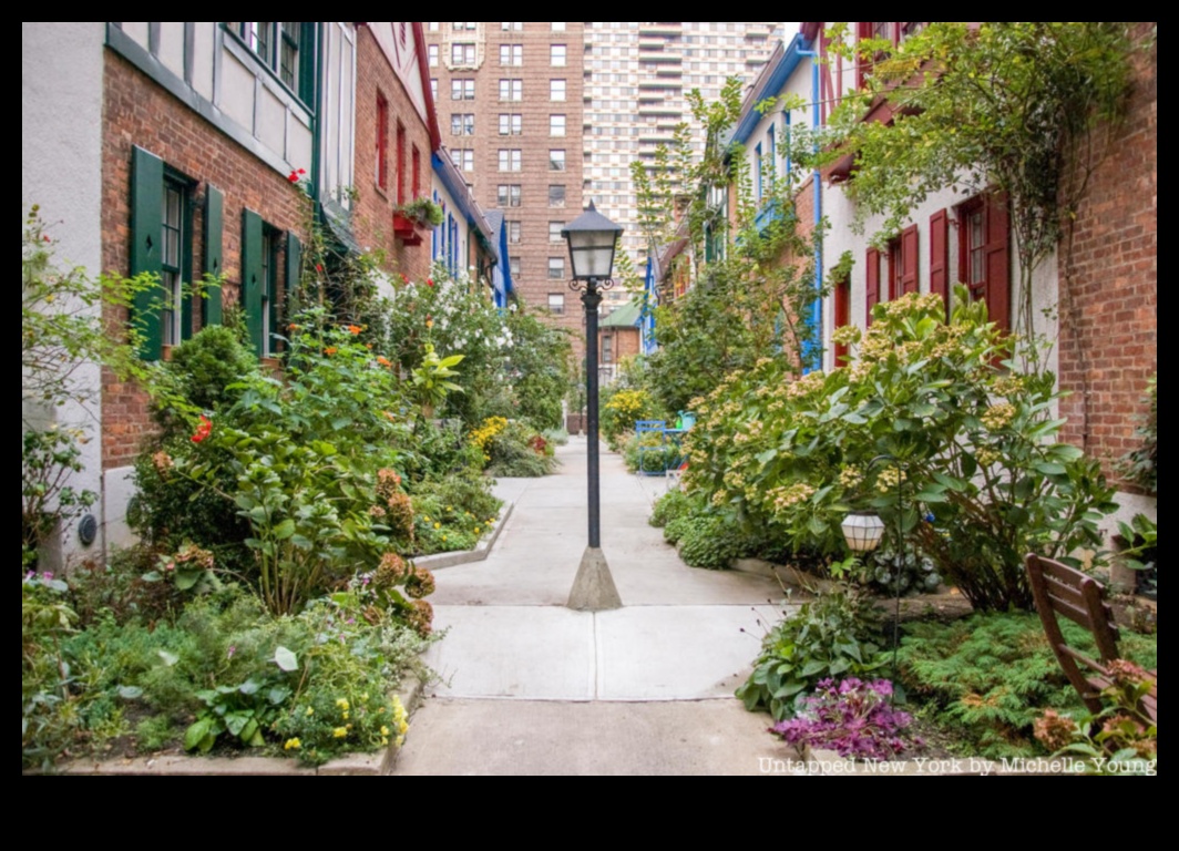 صدفة الرصيف: اكتشاف الأسرار سيرا على الأقدام