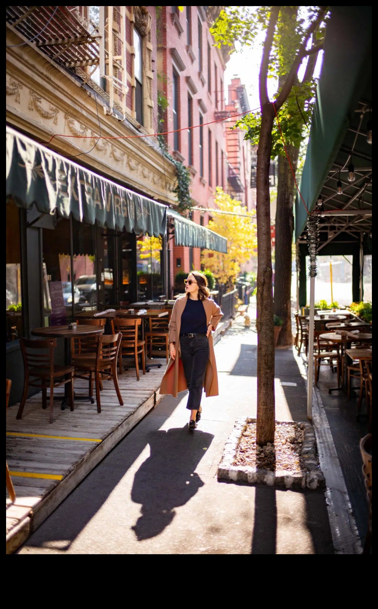 صدفة الرصيف: اكتشاف الأسرار سيرا على الأقدام