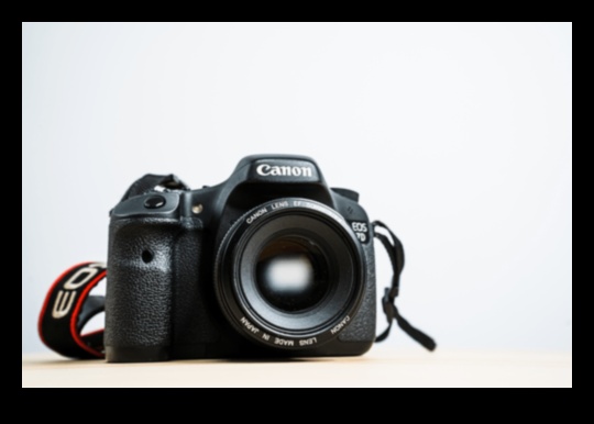 النجاح المفاجئ: رحلة عبر تعليم التصوير الفوتوغرافي الشامل