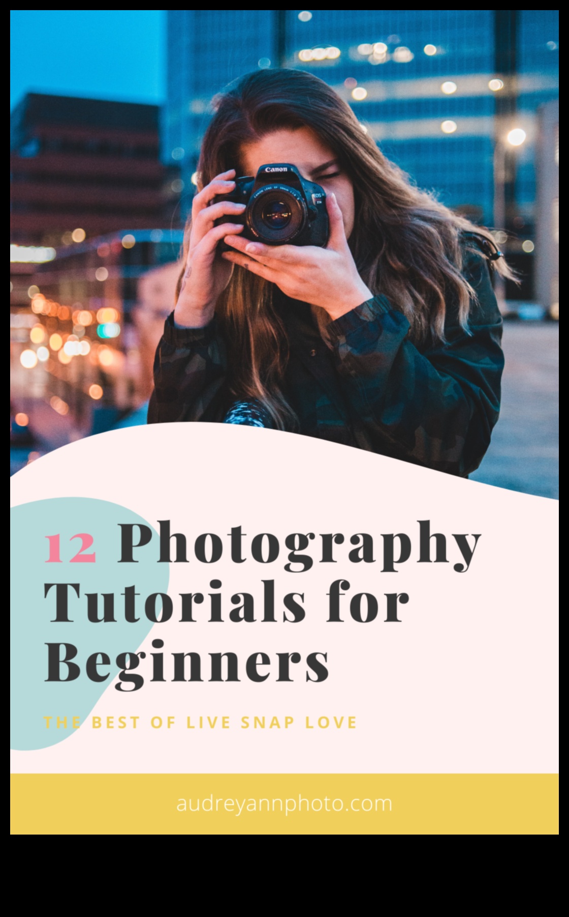 النجاح المفاجئ: رحلة عبر تعليم التصوير الفوتوغرافي الشامل