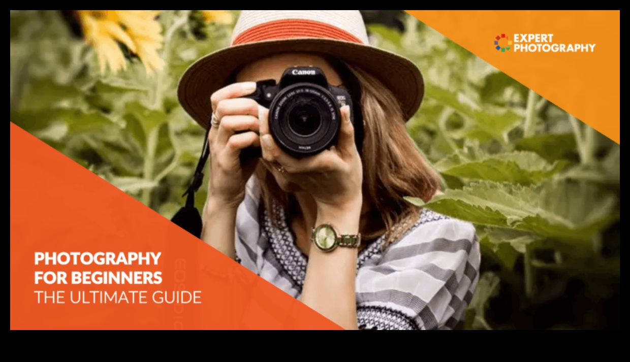 النجاح المفاجئ: رحلة عبر تعليم التصوير الفوتوغرافي الشامل