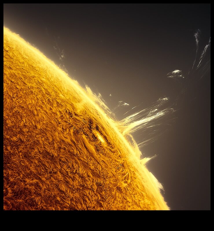 روعة التوهج الشمسي: تسخير ضوء الشمس في أساليب التصوير الفوتوغرافي الأثيري