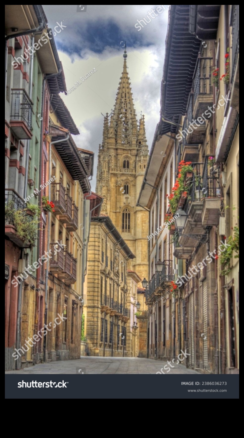 تم الكشف عن العظمة القوطية: ارفع مستوى حرفتك من خلال تألق التصوير الفوتوغرافي