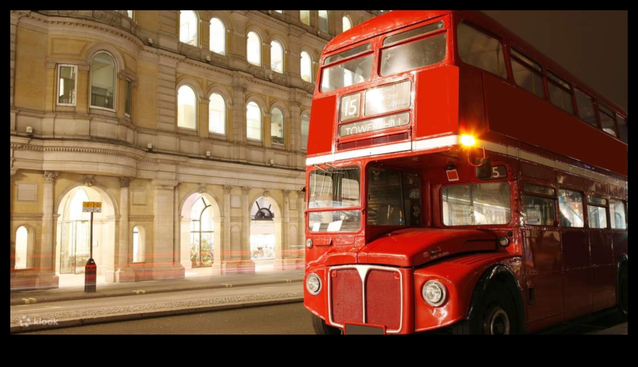 يوميات ذات طابقين: حكايات من مغامرات الحافلة المفتوحة