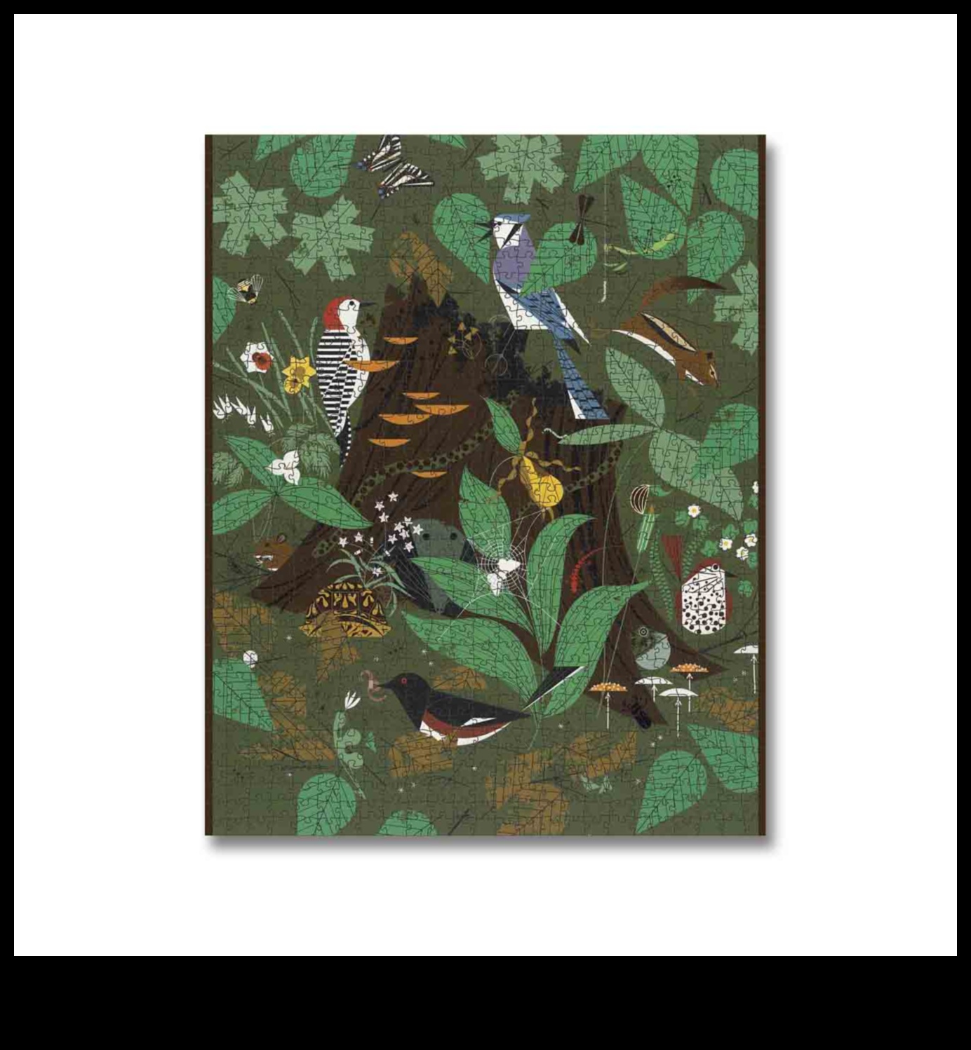 عجائب الغابات: التنقل في أسرار الطبيعة