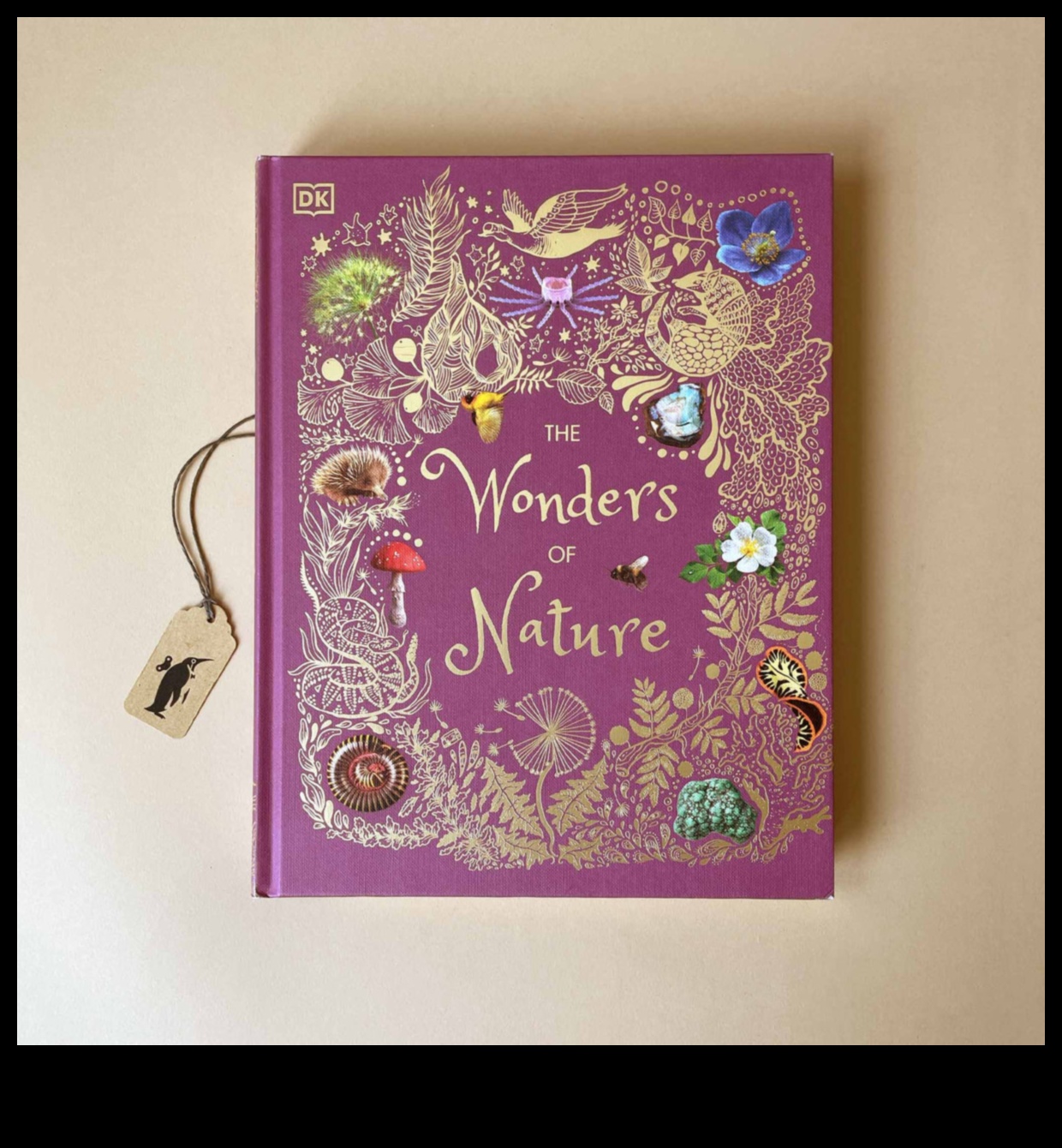 عجائب الغابات: التنقل في أسرار الطبيعة