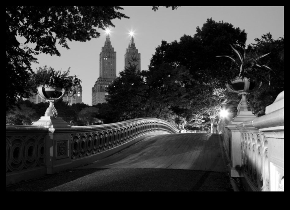 الملاحم الحضرية: تحويل مناظر المدينة من خلال التصوير الفوتوغرافي