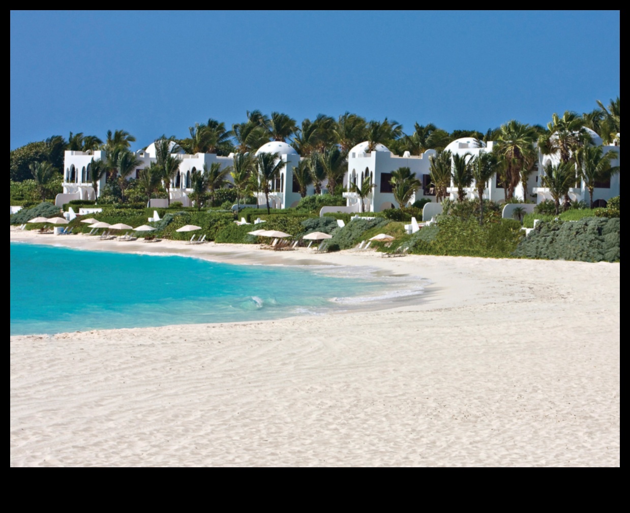 السكينة الزوجية: التخطيط لحفل زفاف لا تشوبه شائبة