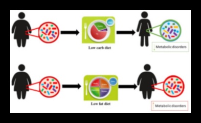 تأثير صحة الأمعاء على نجاح النظام الغذائي قليل الدهون